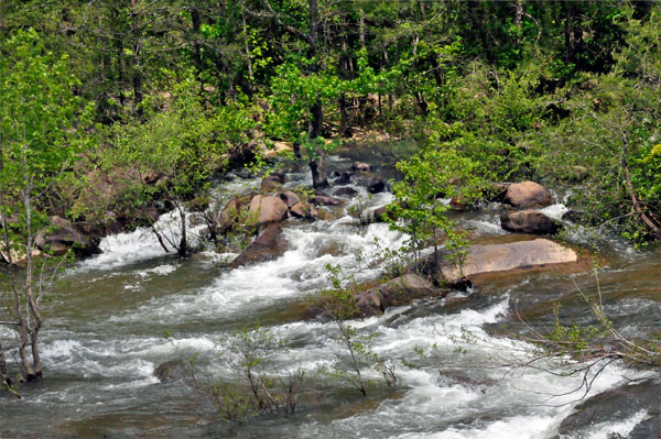 Ocoee River