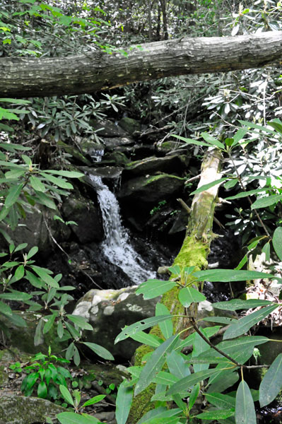 small waterfall