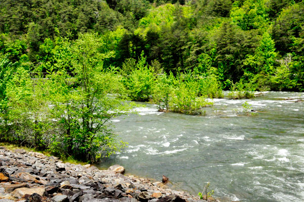 Ocoee River