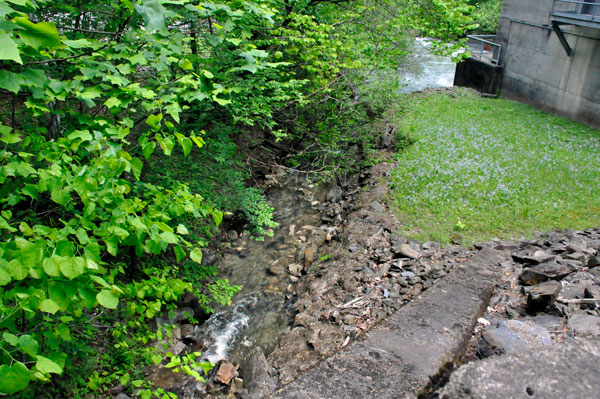 the river behind the TVA building