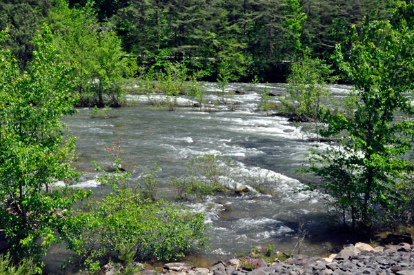 The Ocoee River