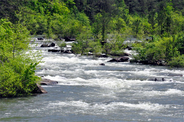 The Ocoee River