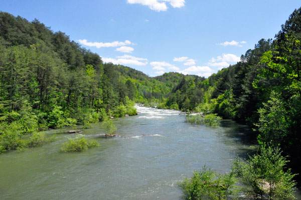 The Ocoee River