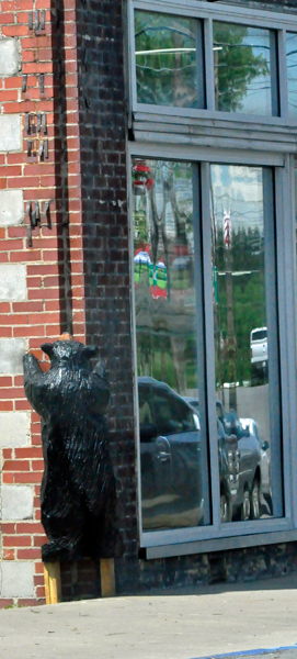 bear climbing a building