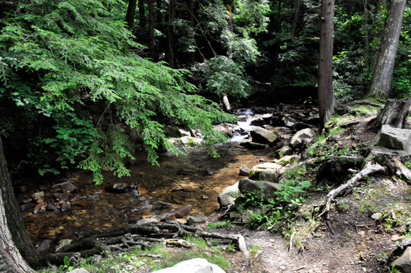 a creek by the parking lot