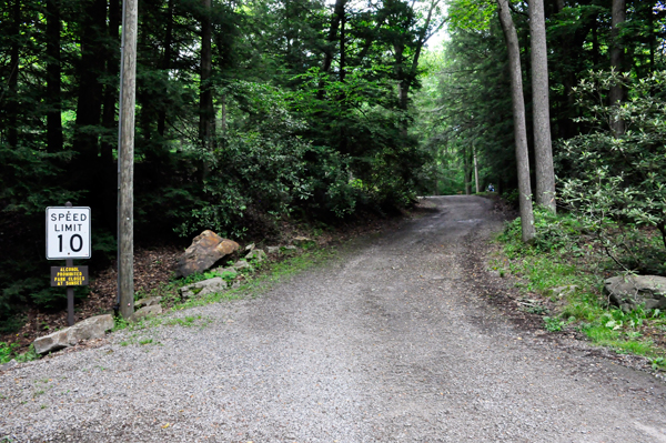 The road into Linn Run State Park