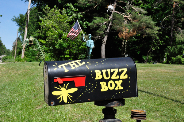 The Buzz Box Mailbox