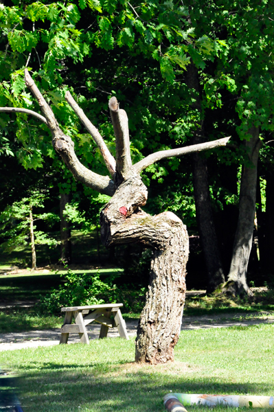 REINDEER TREE