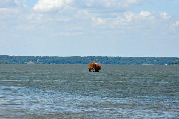 view from the fishing pier