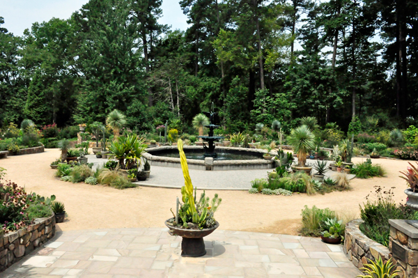 Roney Fountain and cacti