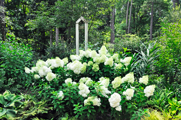 white flowers