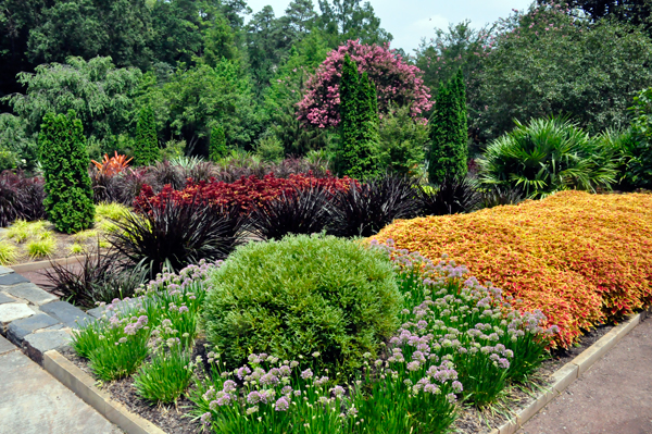 colorful arrangement