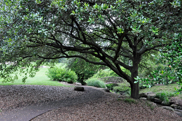 path going to the The Ellen C. Adams Iris walk and bridge