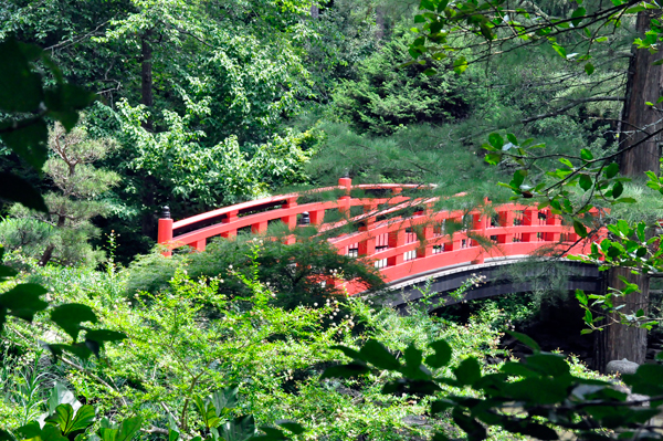 Meyer Bridge