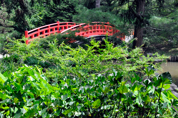 Meyer Bridge