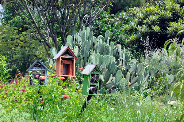 birdhouses