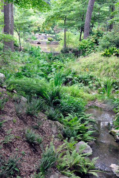 bridge and stream