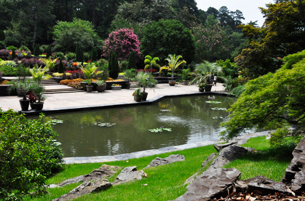 Frances P. Rollins Overlook and pond