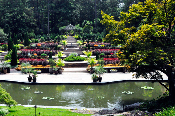 Frances P. Rollins Overlook and pond