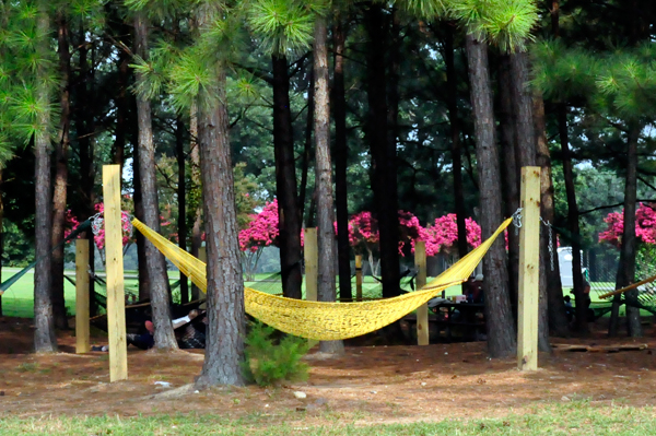 Hammocks at Dorthea Dix Park