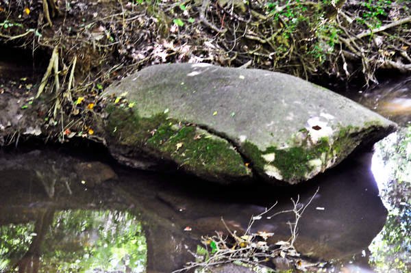 The Whale Rock