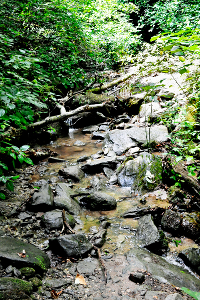 water on the trail