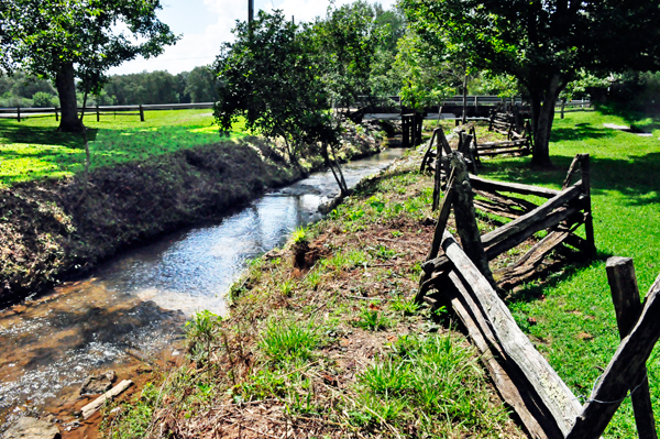 Hagood Branch Creek