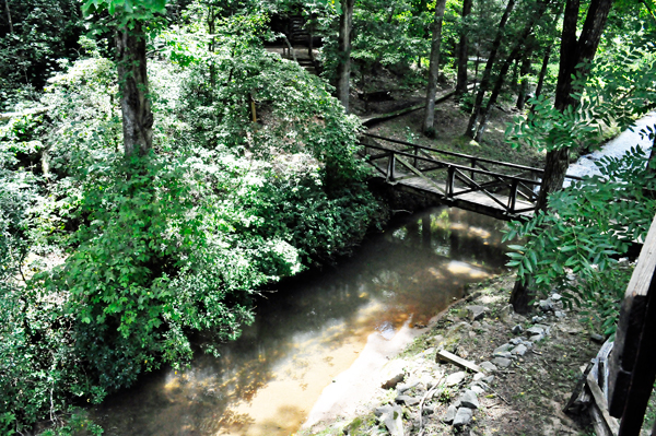 Hagood Branch creek