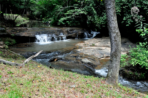 Hagood Branch Creek