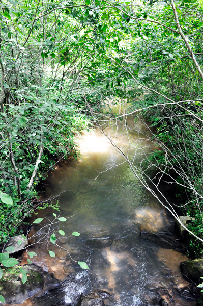 view from Praters Creek Bridge