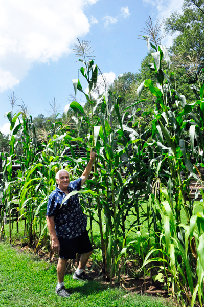 Lee Duquette in the corn field