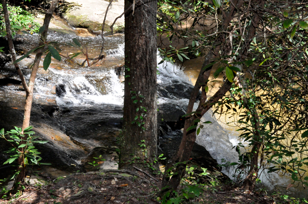 the swimming hole waterfall