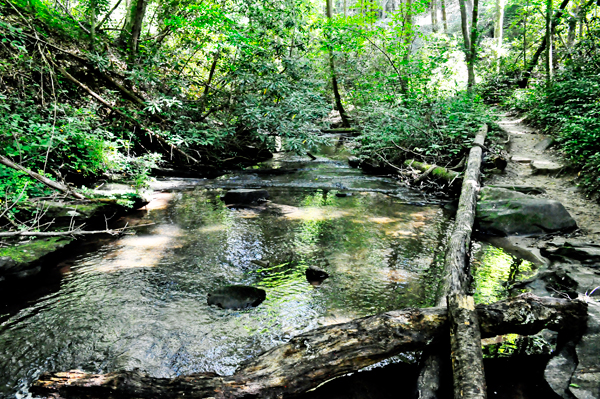 the trail besides some flowing water