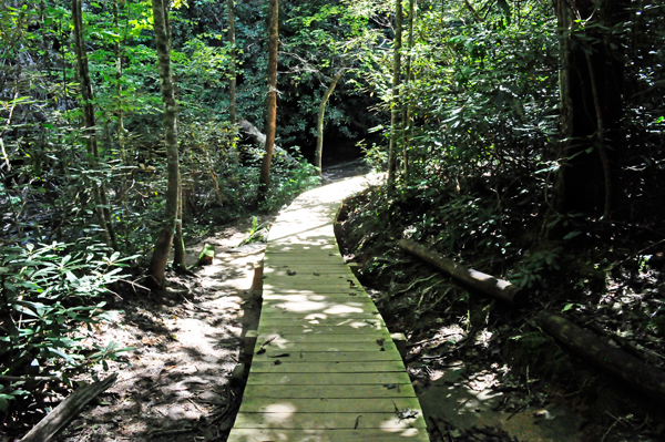 a short boardwalk.