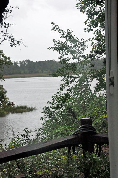 View of the river