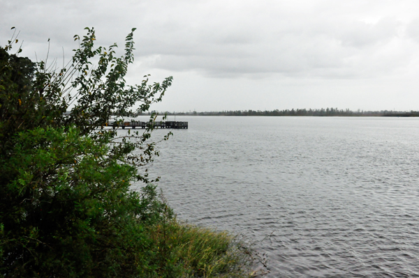 View of the river