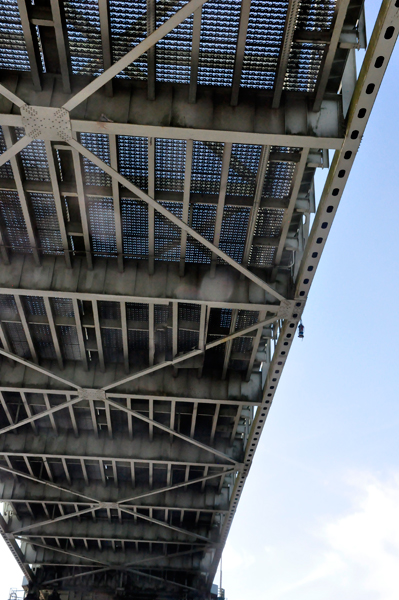 under the Cape Fear Memorial Bridge