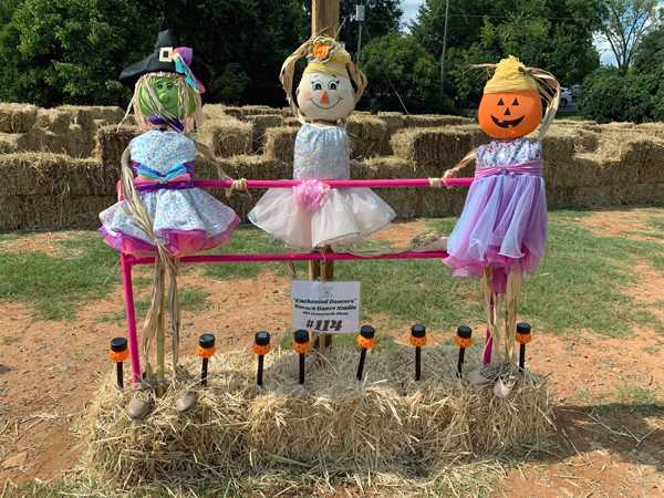 scarecrow entry #114