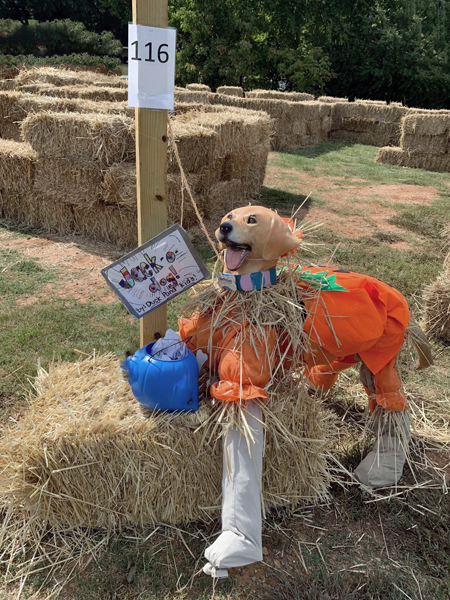 scarecrow dog