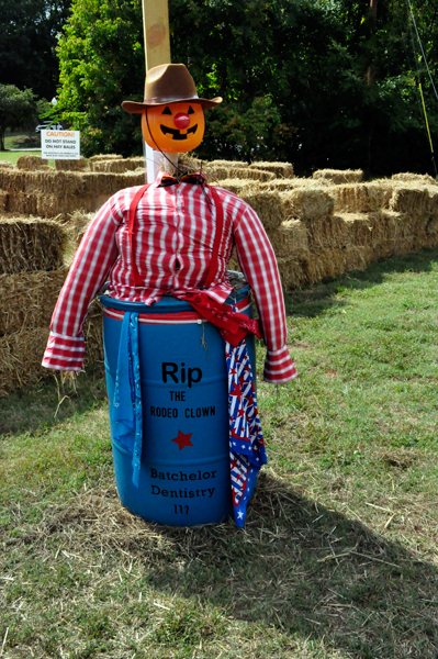 scarecrow entry #117