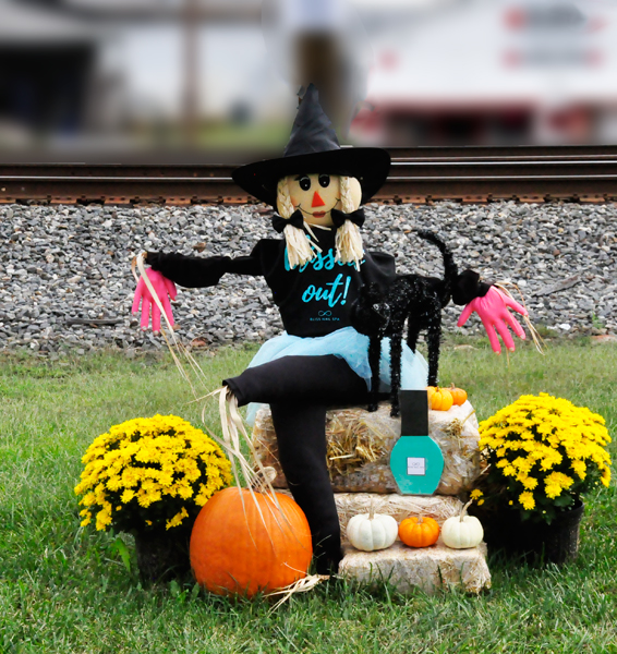 scarecrow entry #28