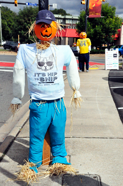 scarecrow entry #3