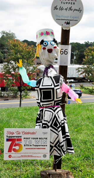 scarecrow entry #66