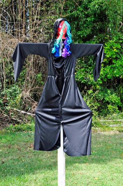 scarecrow entry #67