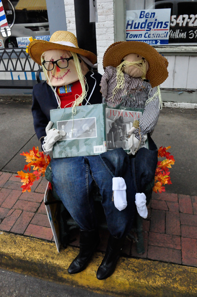 scarecrow entry #6