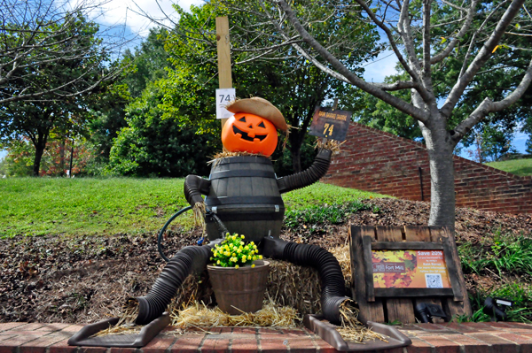 scarecrow entry #74