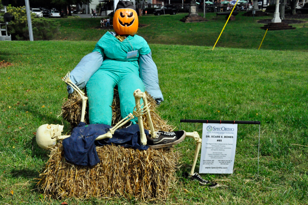 scarecrow entry #85