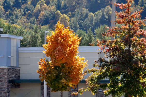 fall colors in Boone NC