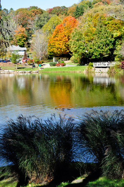 fall colors and reflection