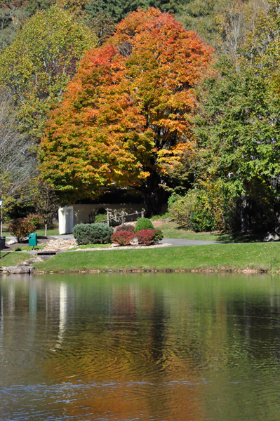 fall colors and reflection